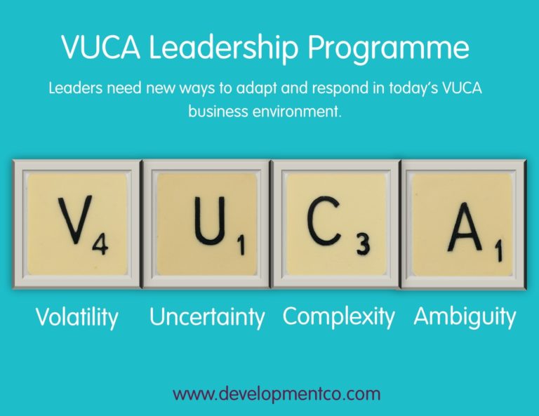 VUCA Leadership DCo