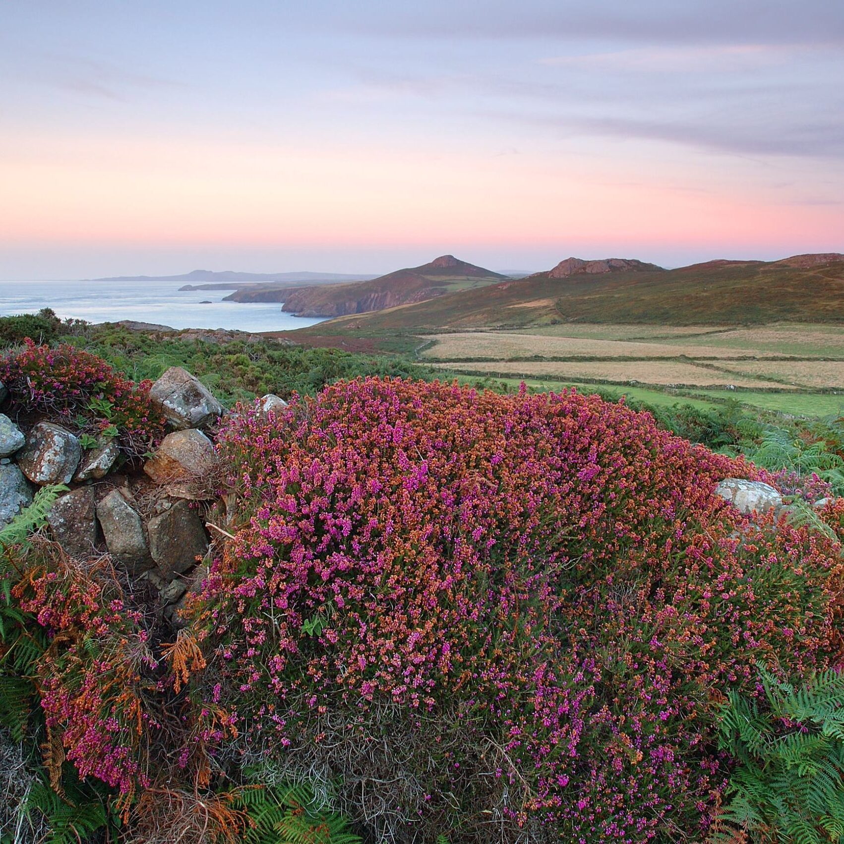 Our Residential Centre – Newgale Lodge – The Development Company UK Ltd