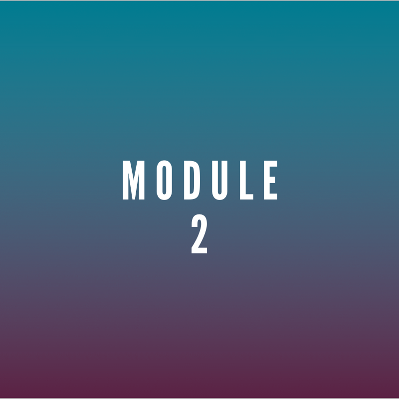 Module 2