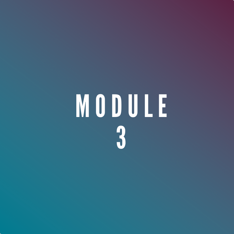 Module 3