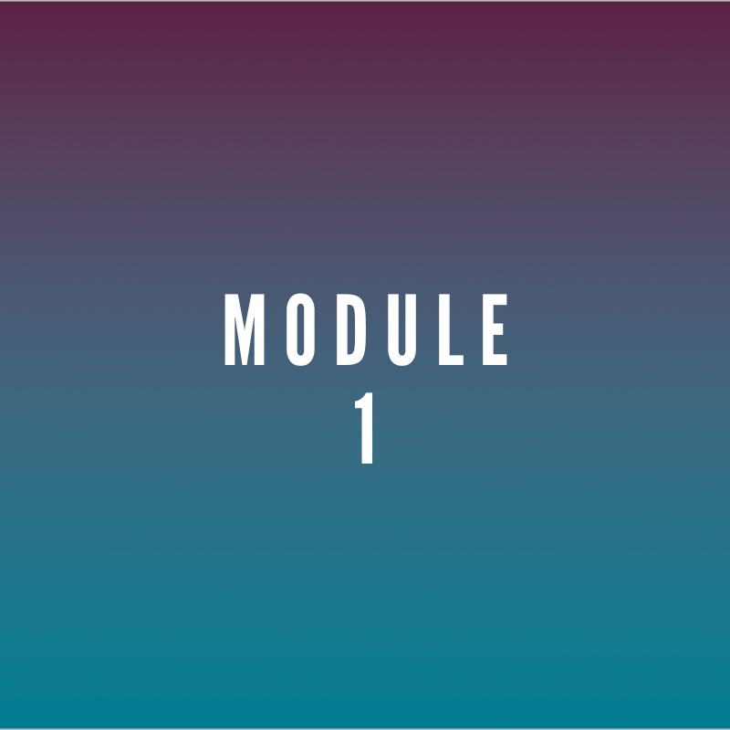 Module One